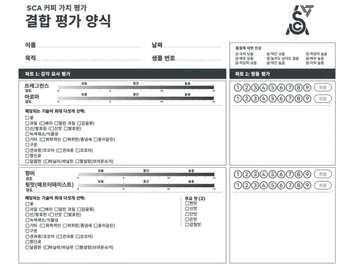 CVA 평가 양식